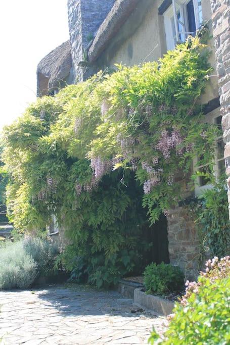The Hide At Lemons Farm *